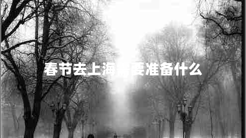 春节去上海需要准备什么