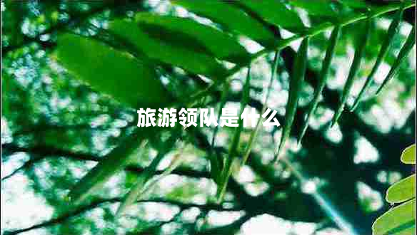 旅游领队是什么