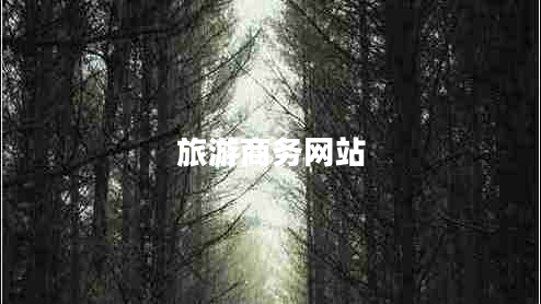 旅游商务网站