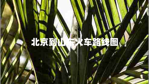 北京到山东火车路线图