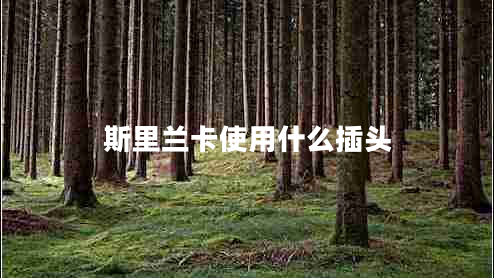 斯里兰卡使用什么插头