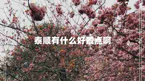泰顺有什么好景点啊