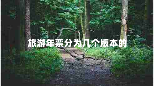 旅游年票分为几个版本的