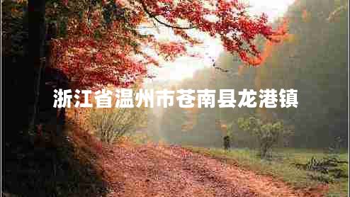 浙江省温州市苍南县龙港镇