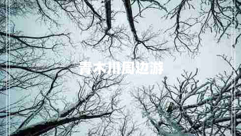 青木川周边游
