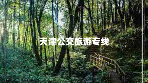 天津公交旅游专线
