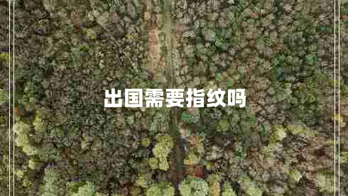出国需要指纹吗
