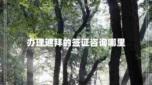 办理迪拜的签证咨询哪里
