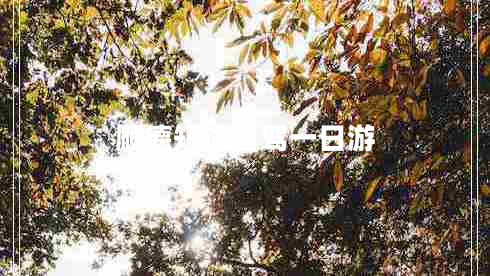 顺德短途自驾一日游