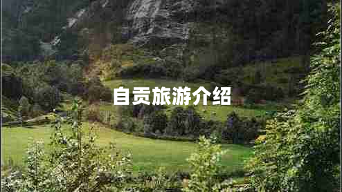 自贡旅游介绍
