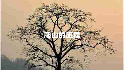 爬山的旅程