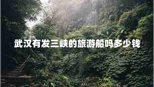 武汉有发三峡的旅游船吗多少钱