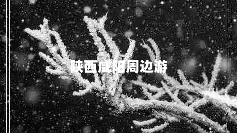 陕西咸阳周边游