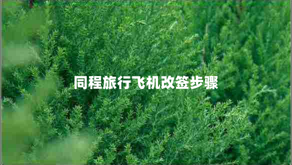 同程旅行飞机改签步骤