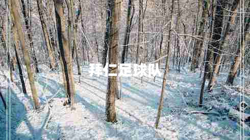 拜仁足球队