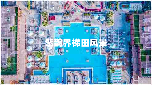 紫鹊界梯田风景