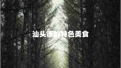 汕头市的特色美食