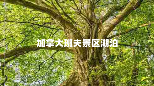 加拿大班夫景区湖泊
