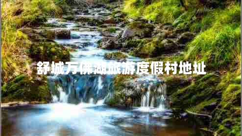 舒城万佛湖旅游度假村地址