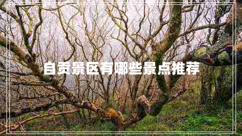 自贡景区有哪些景点推荐