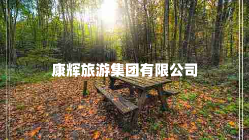 康辉旅游集团有限公司