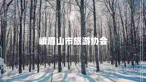 峨眉山市旅游协会