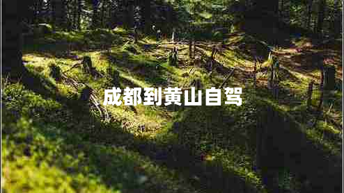 成都到黄山自驾 成都到黄山自驾