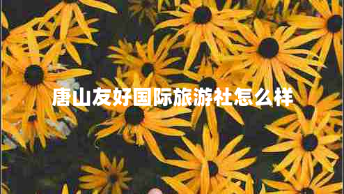 唐山友好国际旅游社怎么样