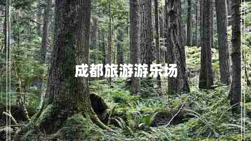 成都旅游游乐场