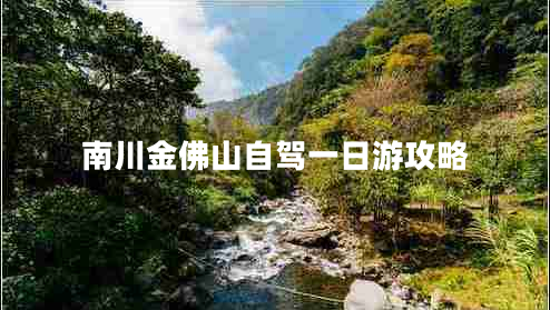 南川金佛山自驾一日游攻略