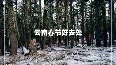云南春节好去处