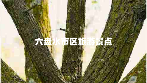 六盘水市区旅游景点