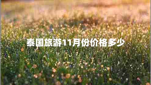泰国旅游11月份价格多少