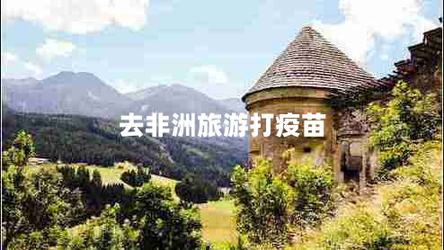去非洲旅游打疫苗 去非洲旅游打疫苗