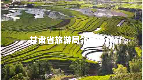 甘肃省旅游局领导简介