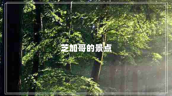 芝加哥的景点 芝加哥的景点