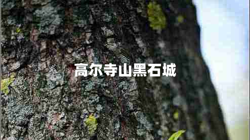 高尔寺山黑石城