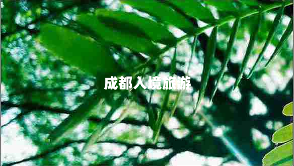 成都入境旅游