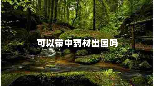 可以带中药材出国吗