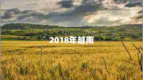 2018年越南