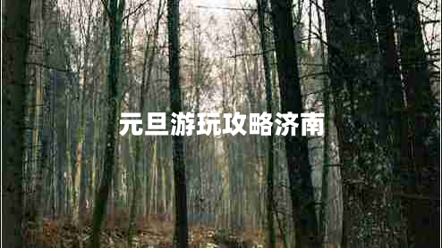 元旦游玩攻略济南