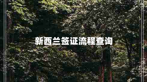 新西兰签证流程查询