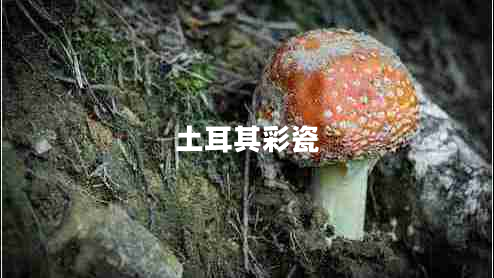 土耳其彩瓷 土耳其彩瓷