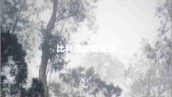 比利时过境签证 比利时过境签证