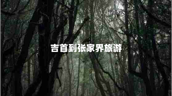 吉首到张家界旅游