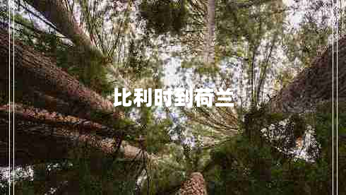 比利时到荷兰