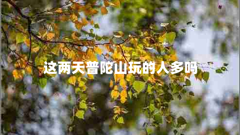 这两天普陀山玩的人多吗