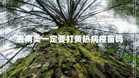 去南美一定要打黄热病疫苗吗 去南美一定要打黄热病疫苗吗