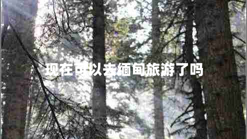 现在可以去缅甸旅游了吗