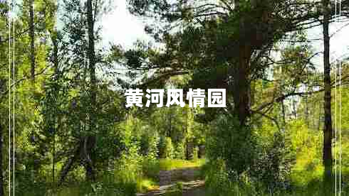黄河风情园